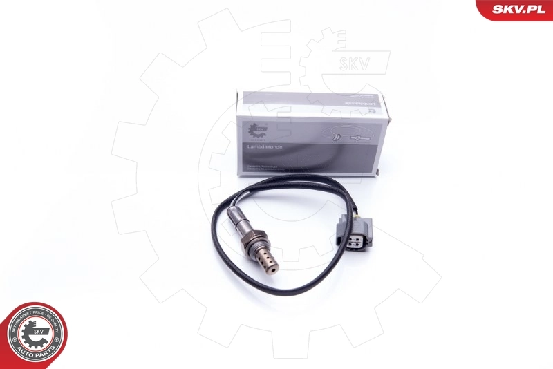 Oxygen Sensor